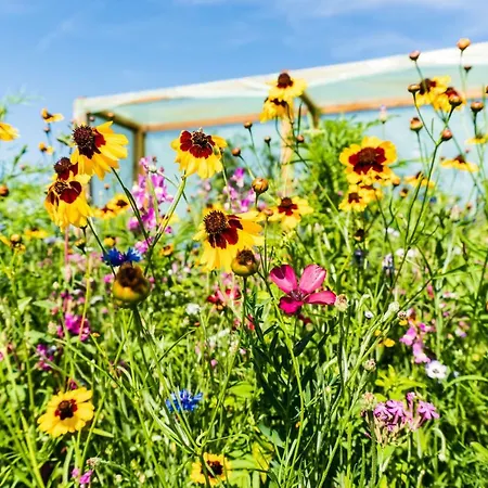 Accommodatie bij particulieren Kogelschneiderhof