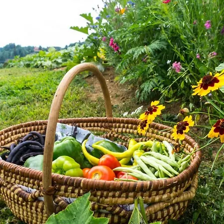 Kogelschneiderhof 홈스테이 Dobl-Zwaring