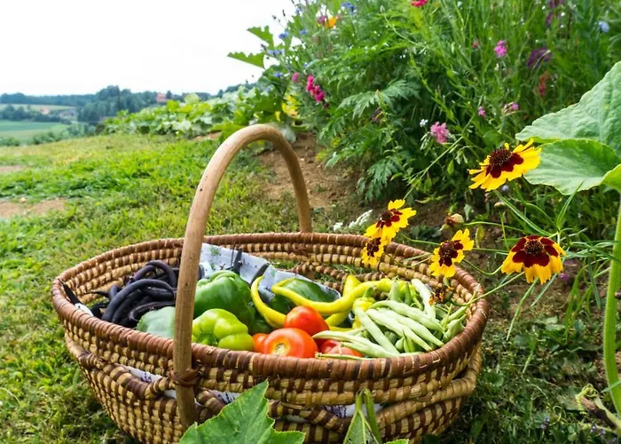Kogelschneiderhof Ubytování v soukromí Dobl-Zwaring